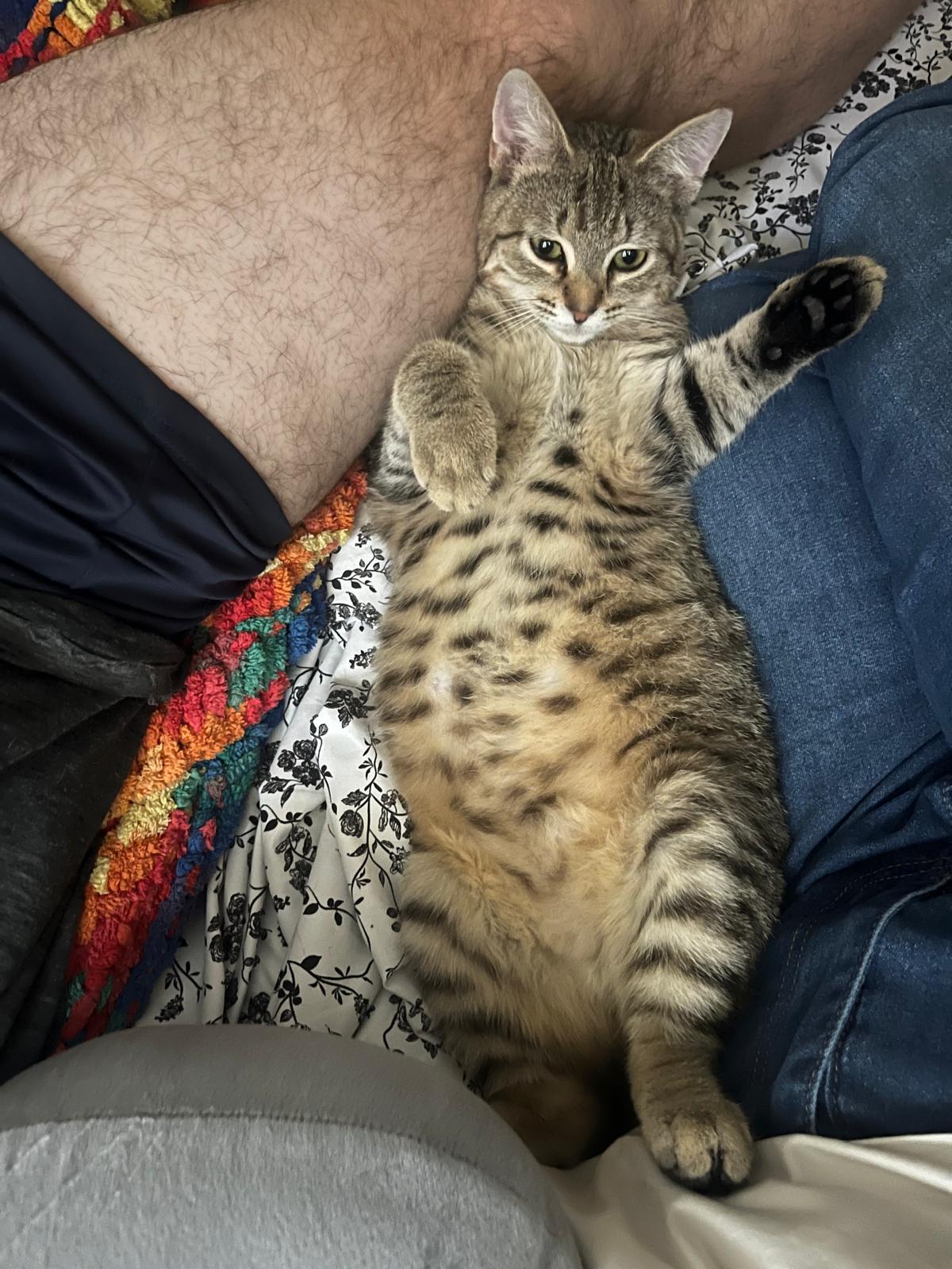 Thor