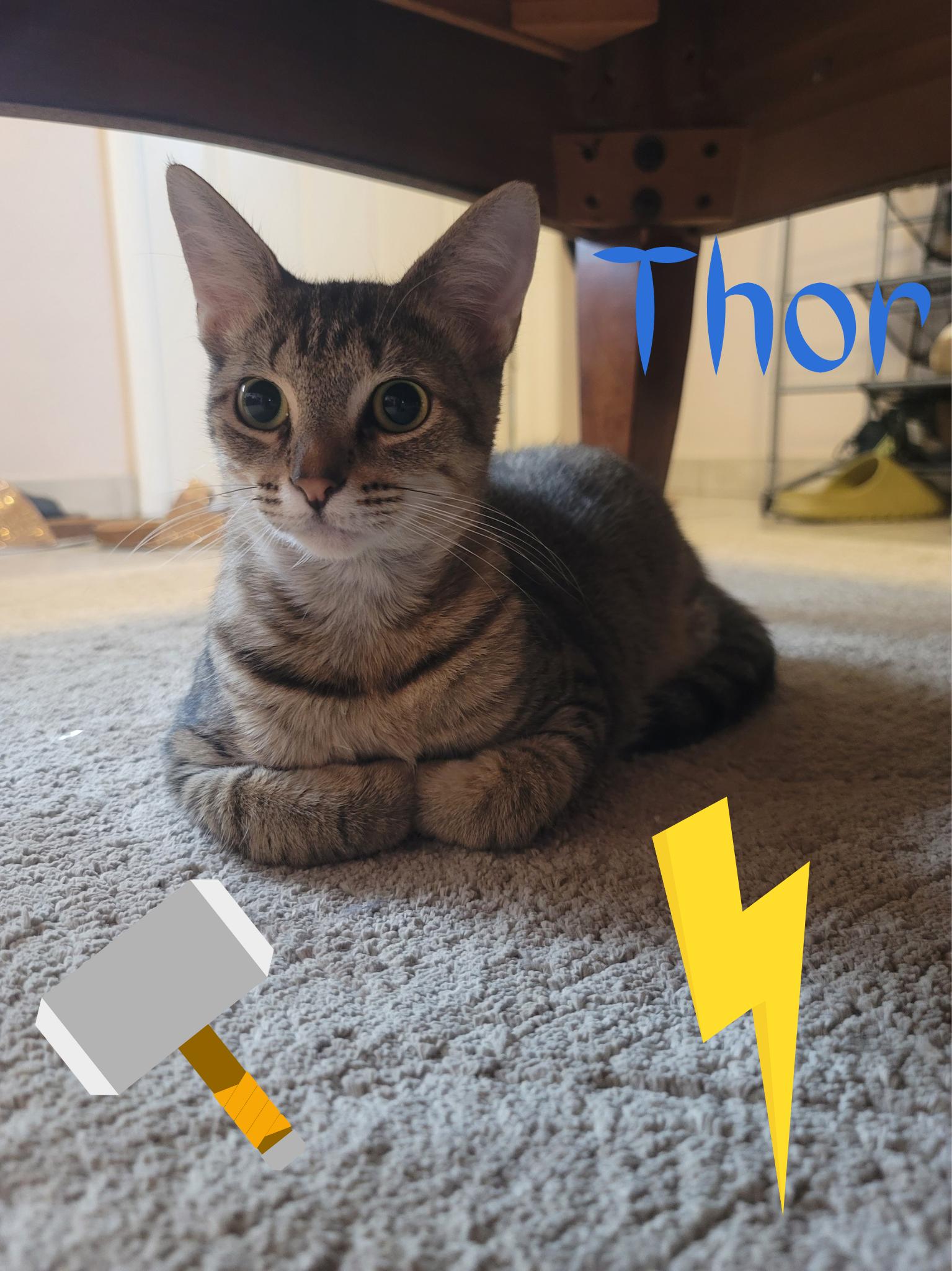 Thor