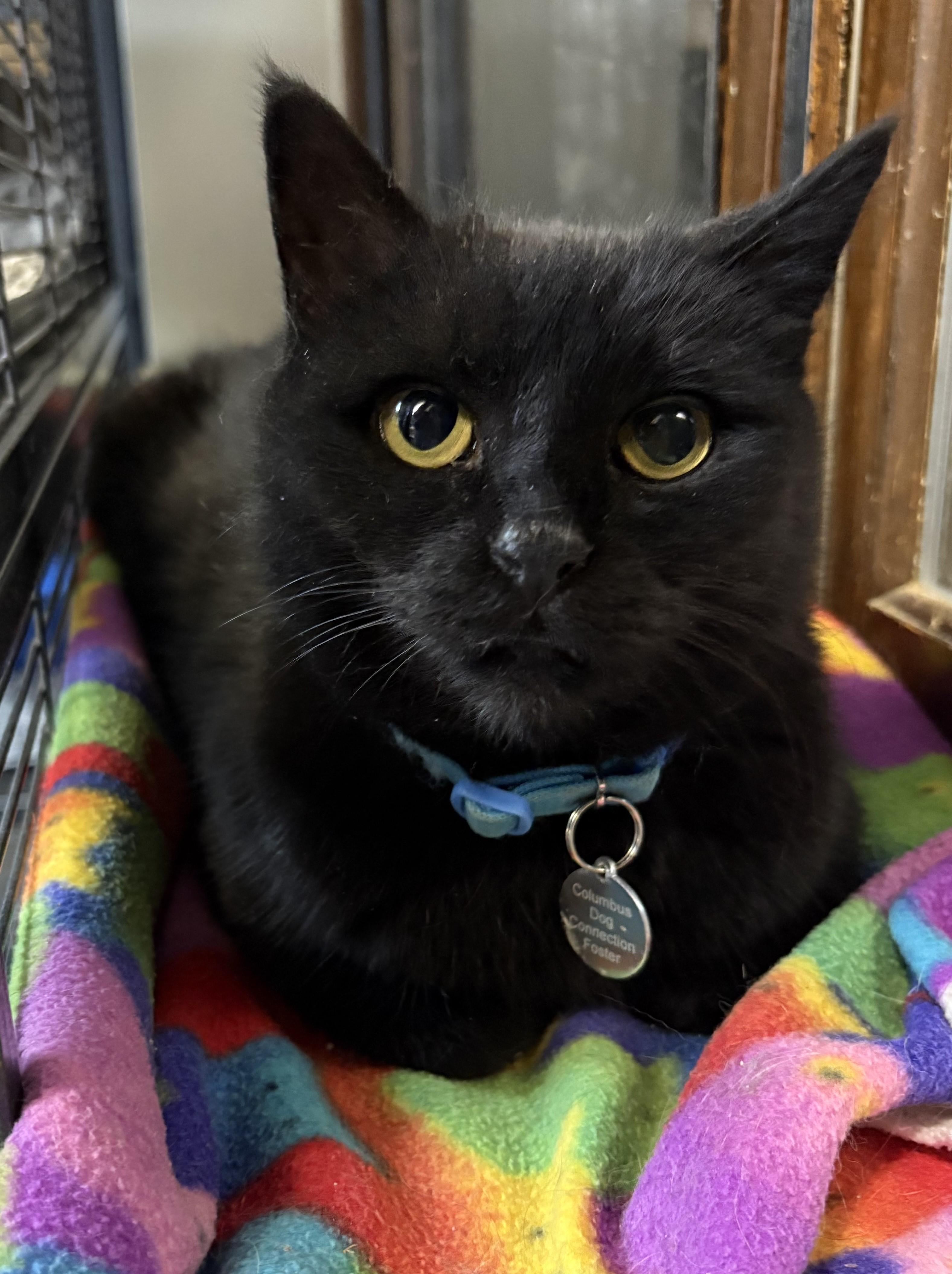 Lena Horne thumbnail 3