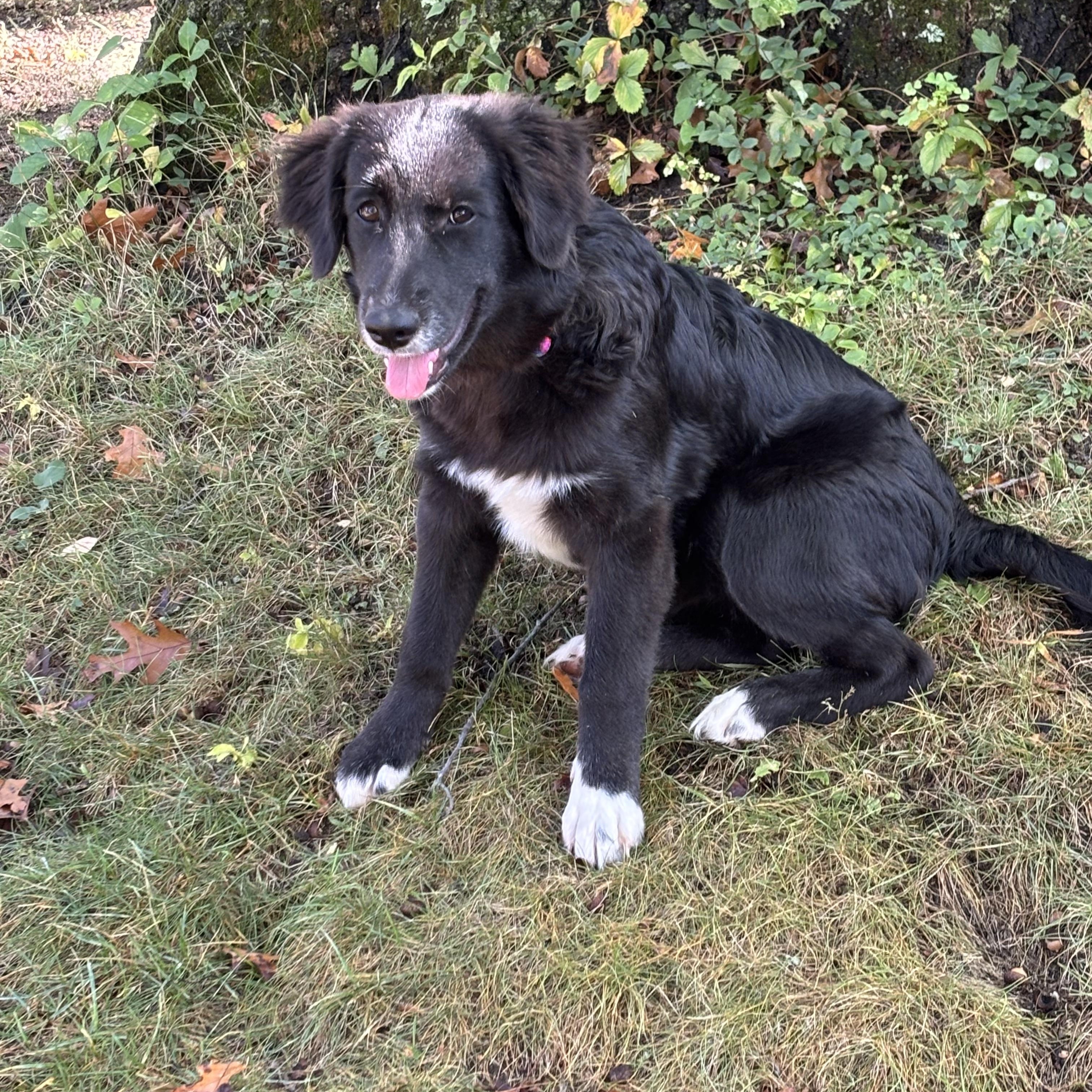 Sookie - IN Vermont !