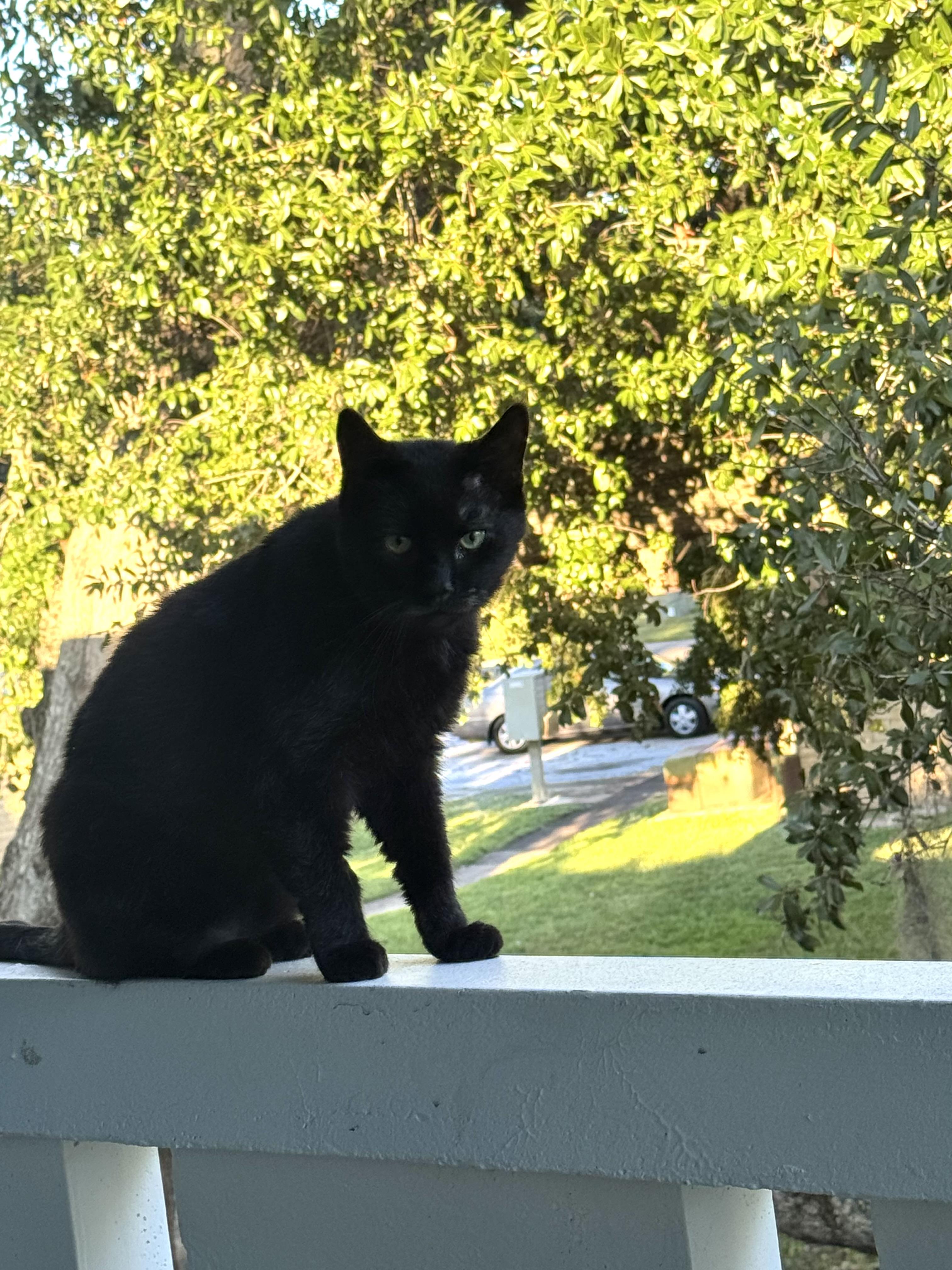 Chevy (mom dying cancer) *vidoe* talkative