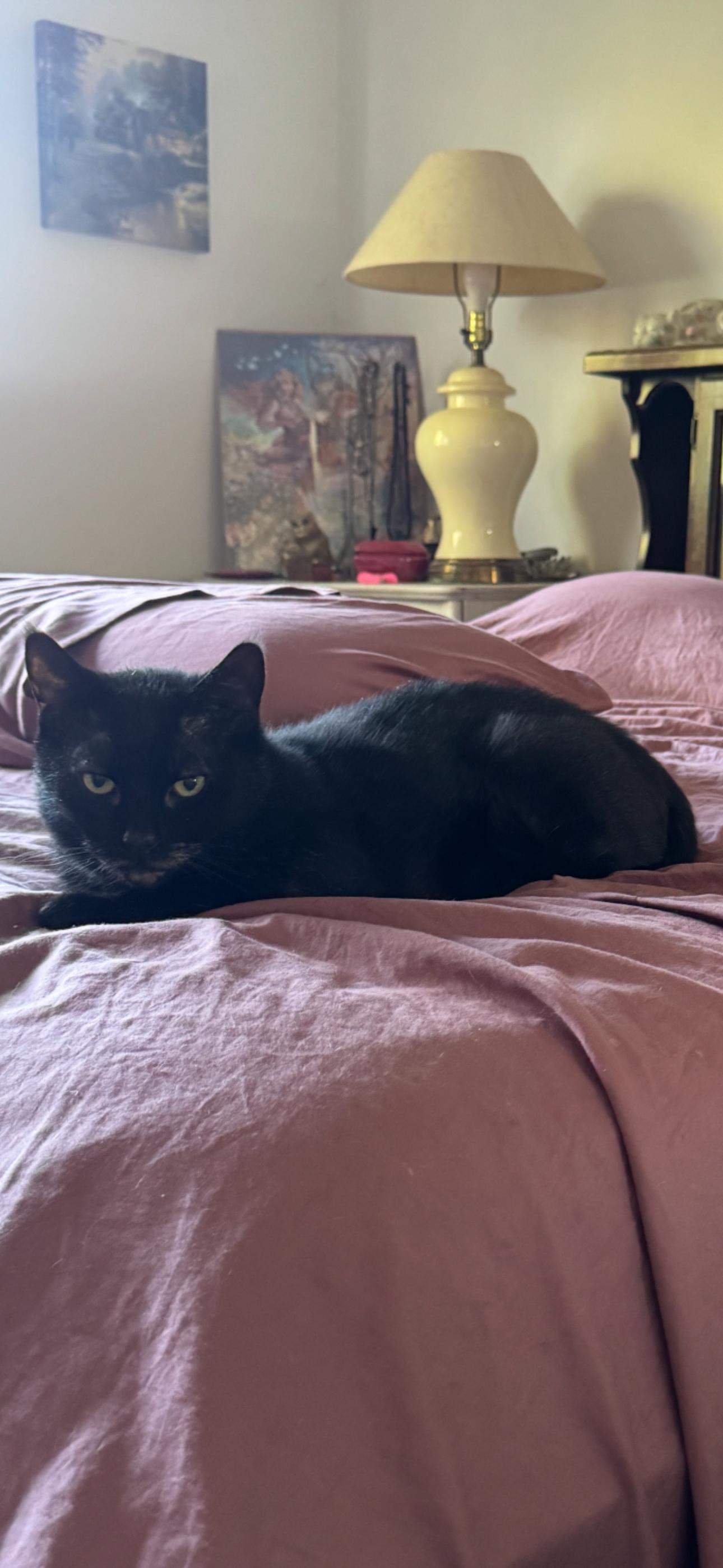 Chevy (mom dying cancer) *vidoe* talkative