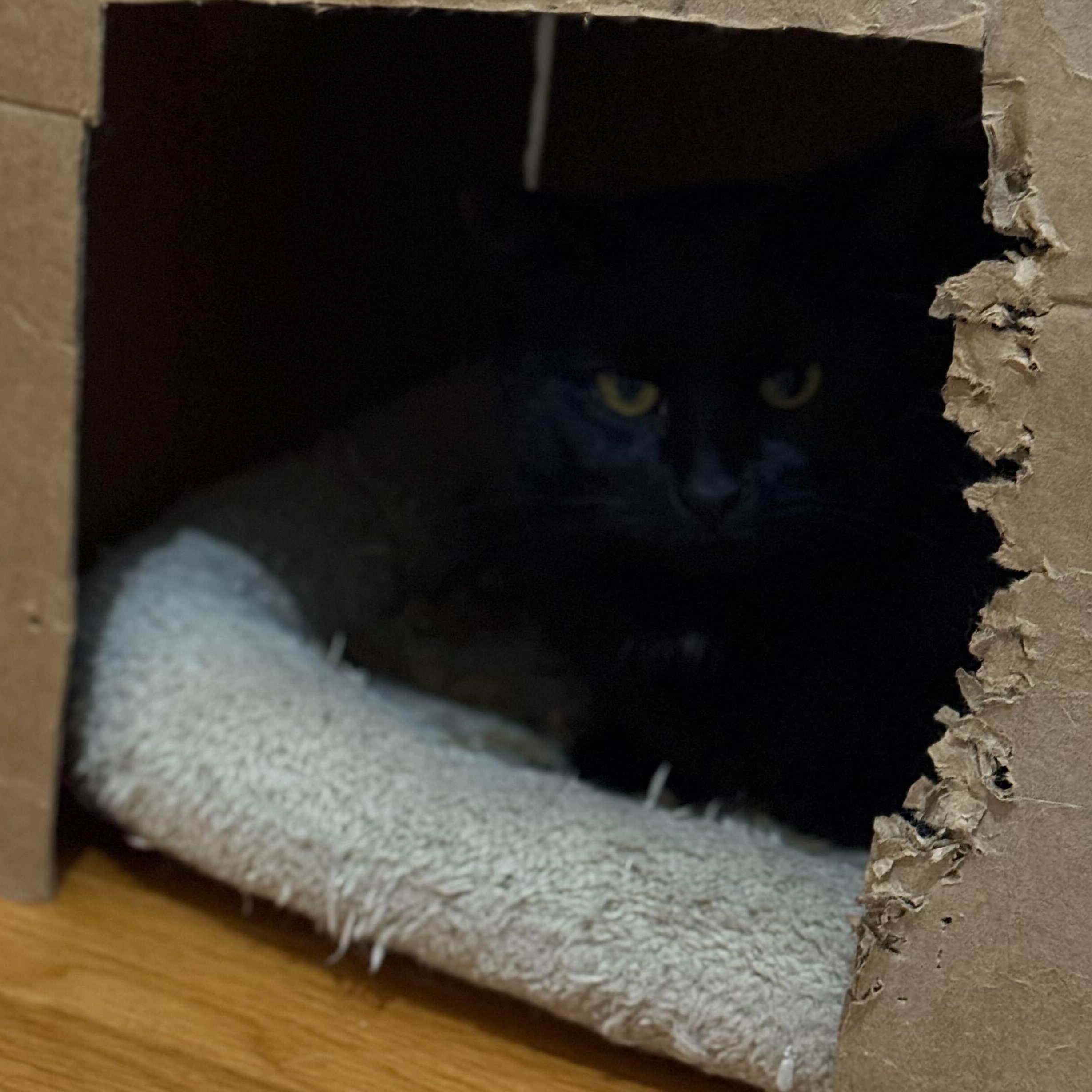 Elizabeth & Summer — thumbnail 4