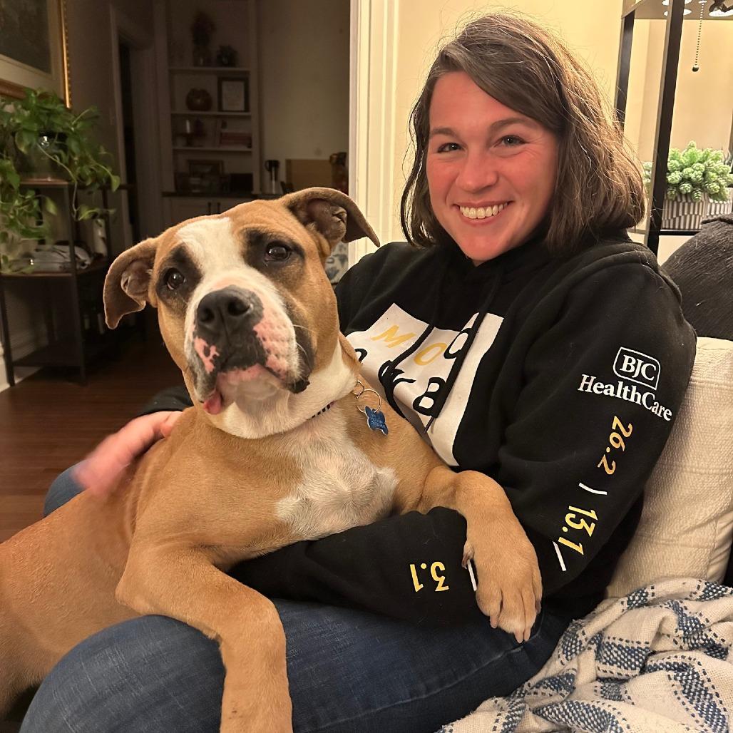 Enlarge Gourdeous, a Adoptable mixed breed in St. Louis, MO image 1/6