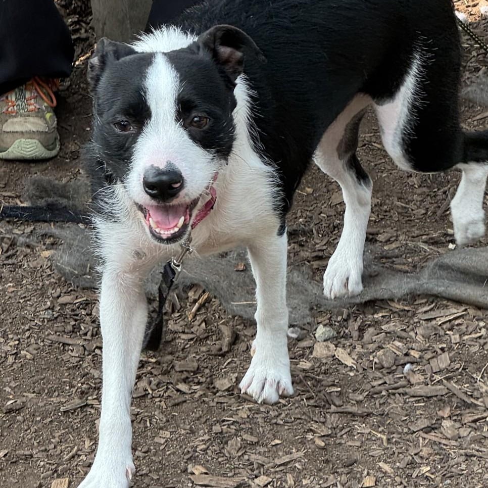 Lana** My fee has been sponsored!
