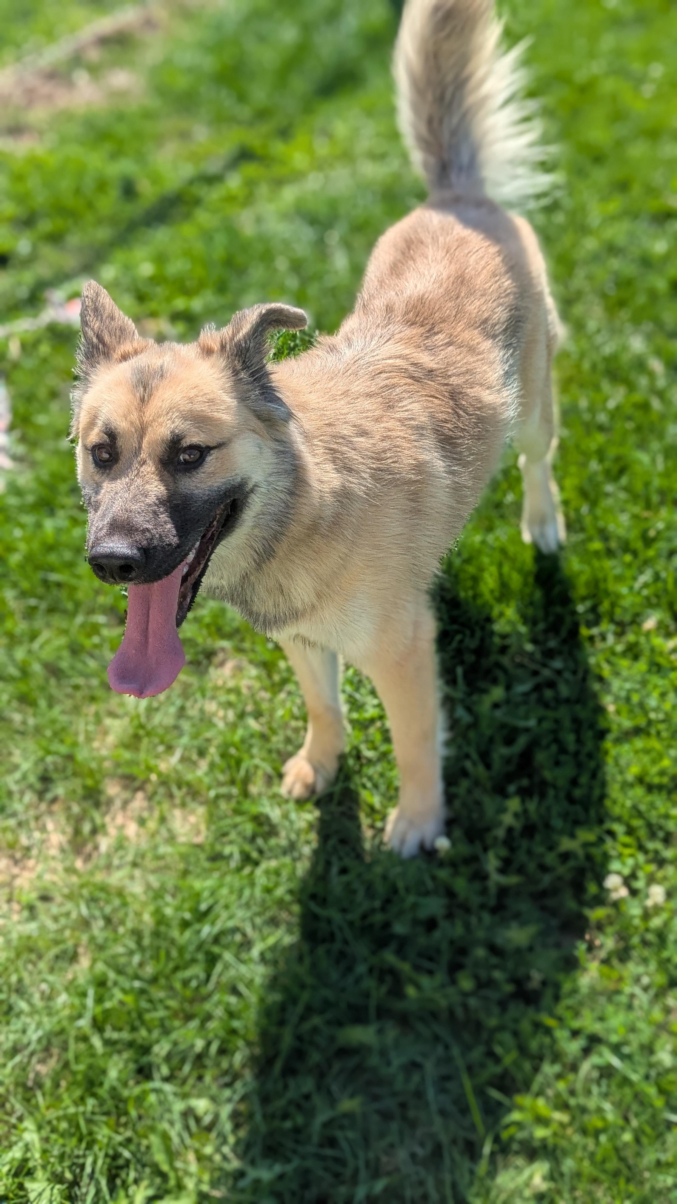 Juno