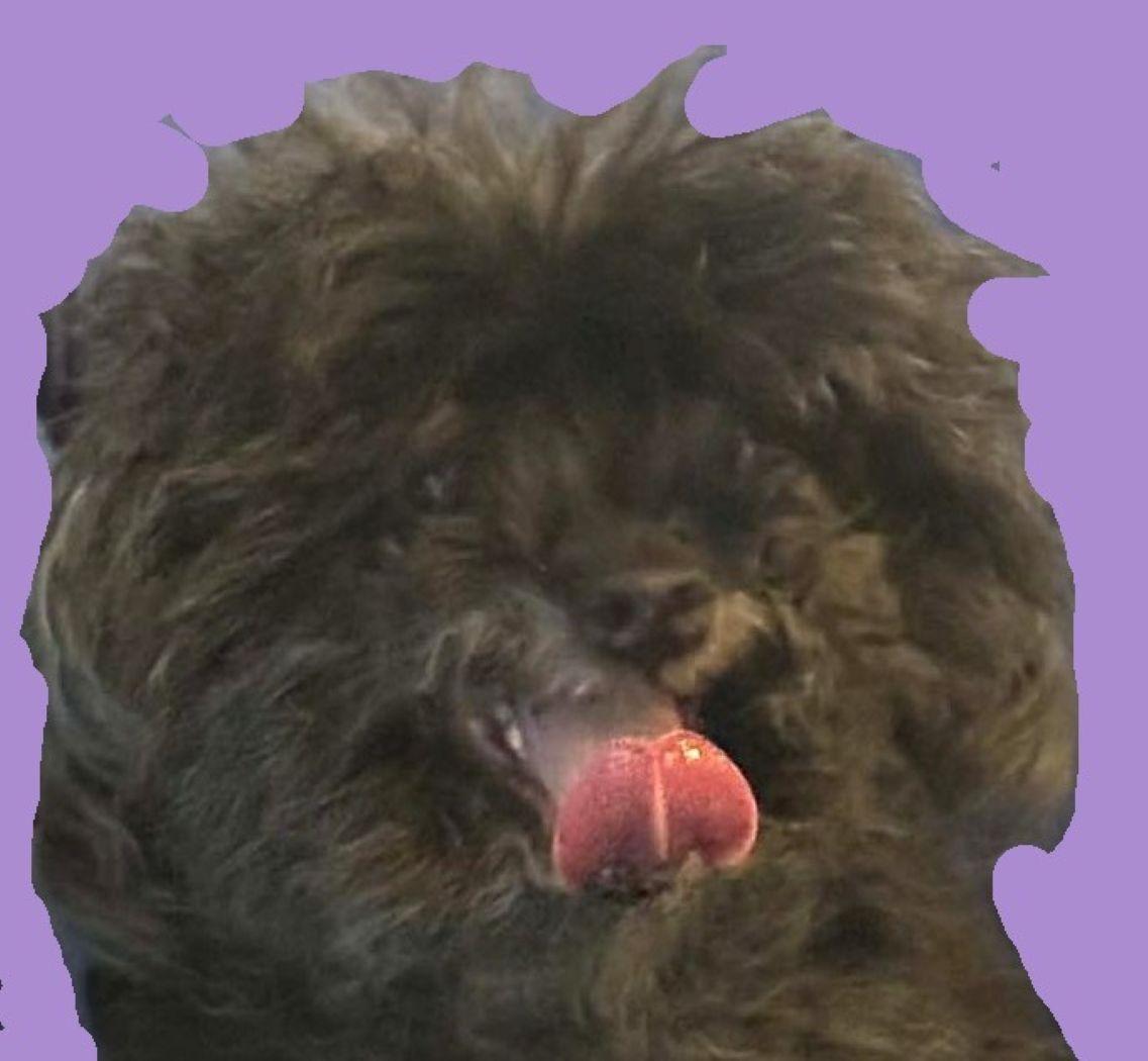 Madi — thumbnail 2