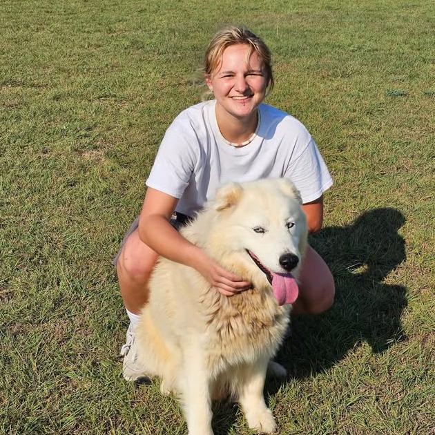 Bear, a Adoptable mixed breed in Stephenville, TX image 2/6