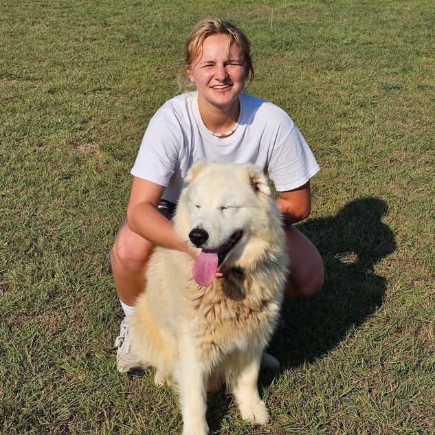 Bear, a Adoptable mixed breed in Stephenville, TX image 6/6