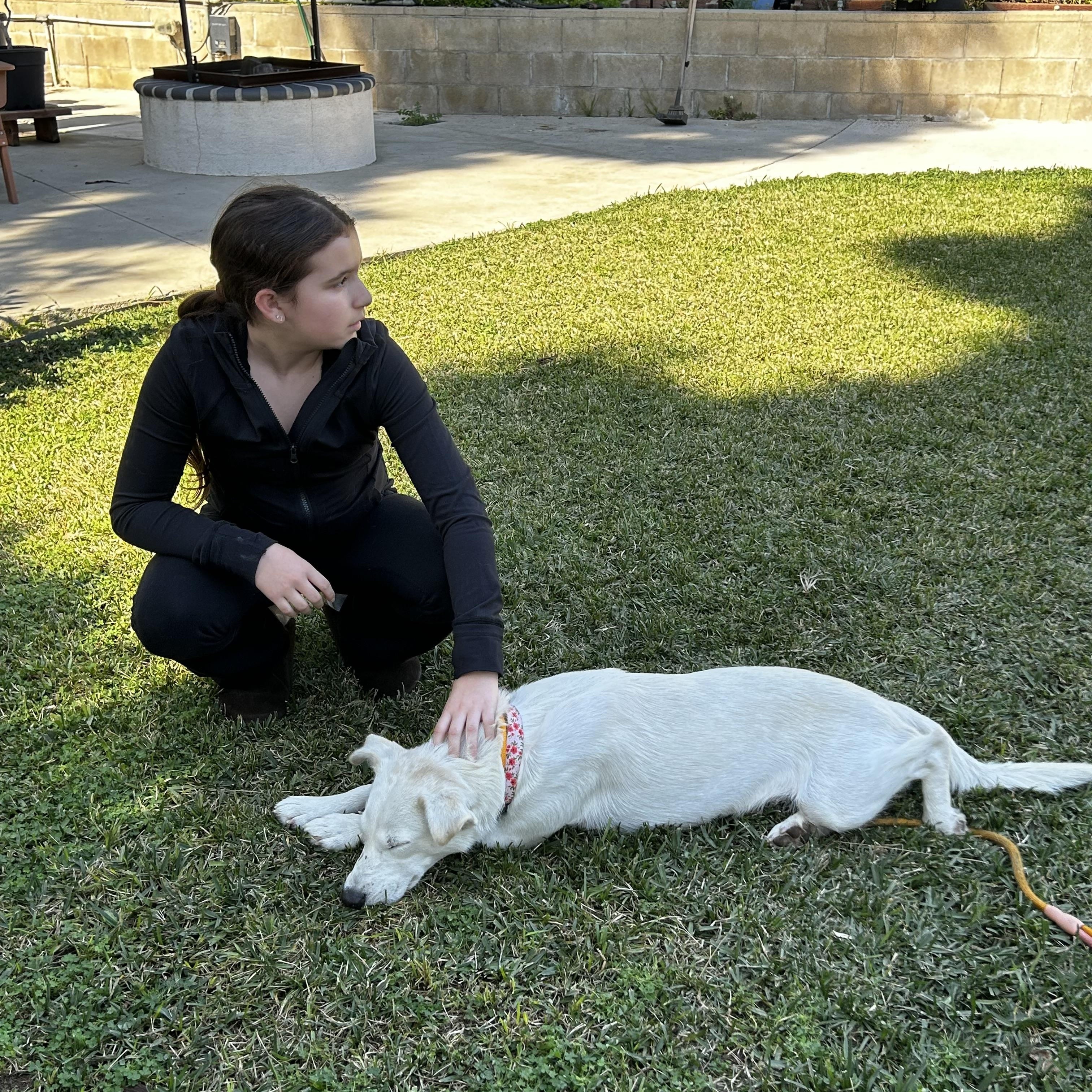 Opal — thumbnail 6