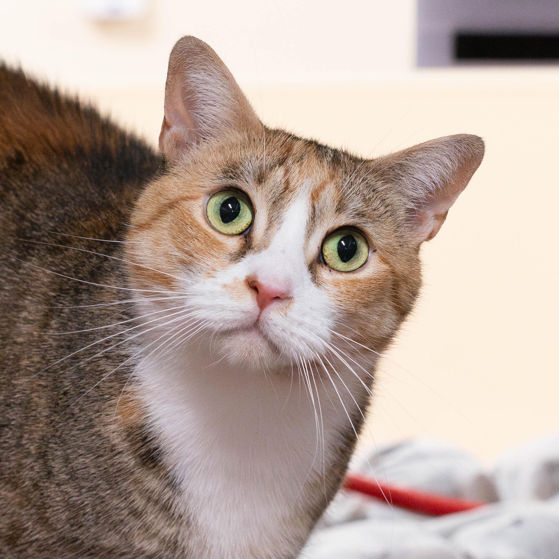 Renee - eligible for 