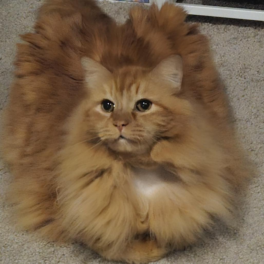 Cartman — thumbnail 2