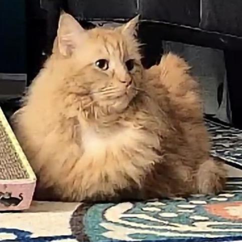 Cartman — thumbnail 3