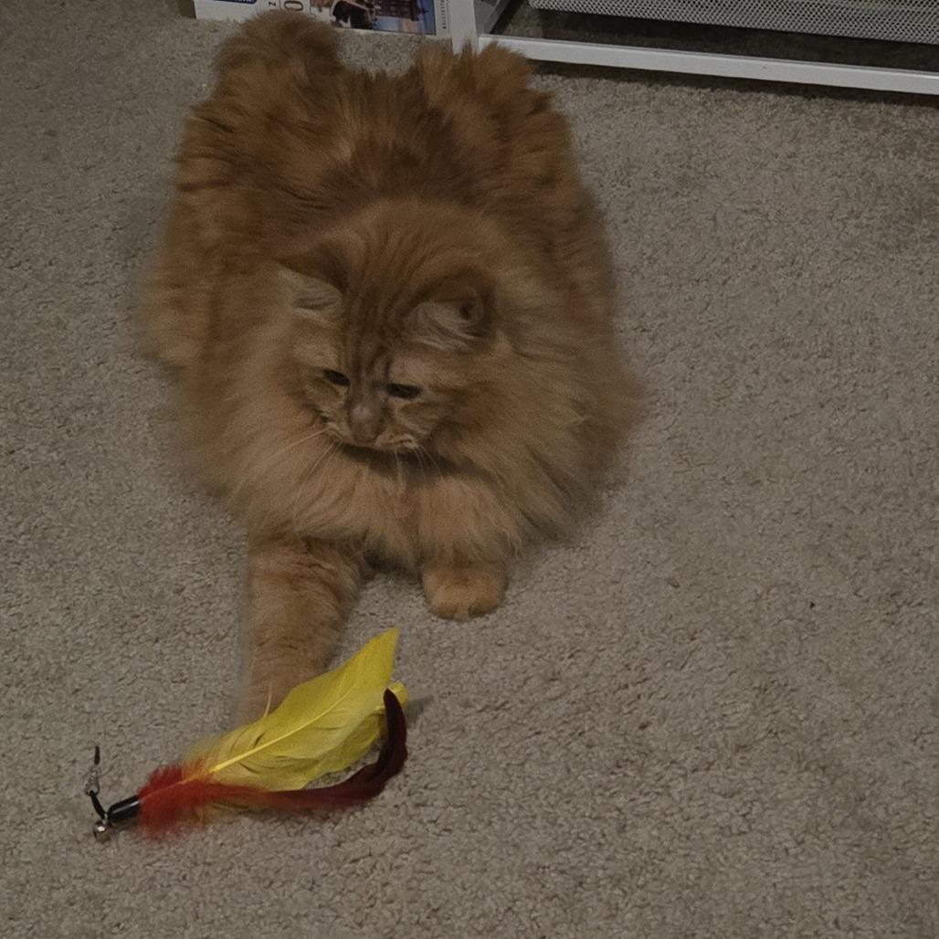 Cartman — thumbnail 4