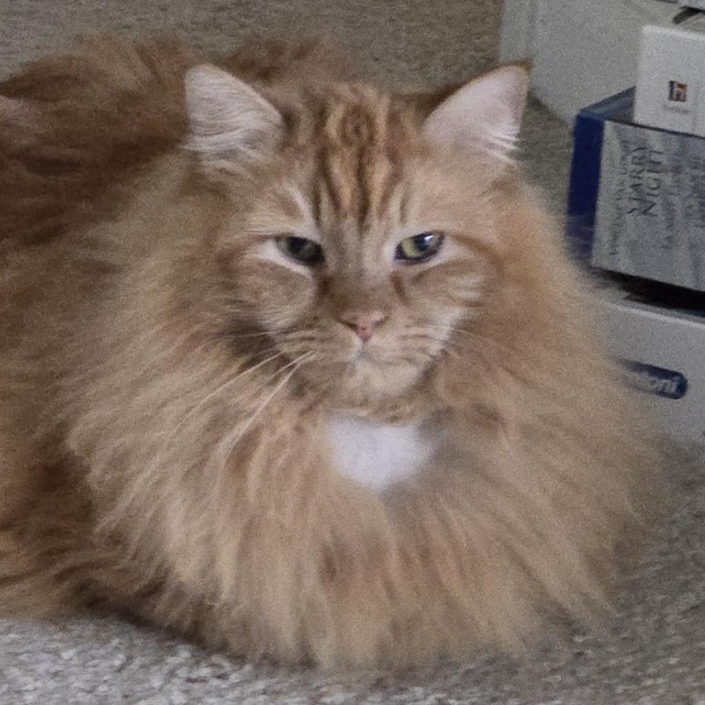 Cartman — thumbnail 5