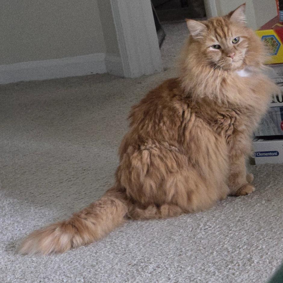 Cartman — thumbnail 6