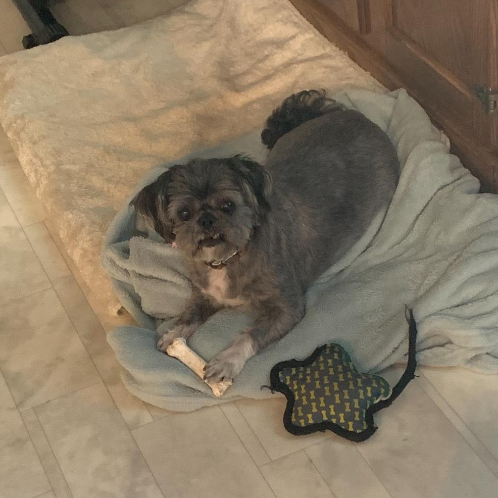 Lexie!!, Senior Female unknown