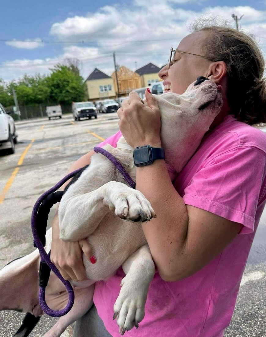 Tonka, a Adoptable mixed breed in Houston, TX image 4/12