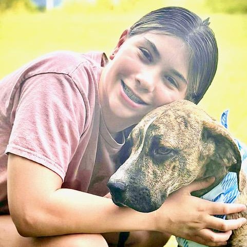 Duke-s, a Adoptable mixed breed in Sequatchie, TN image 4/6