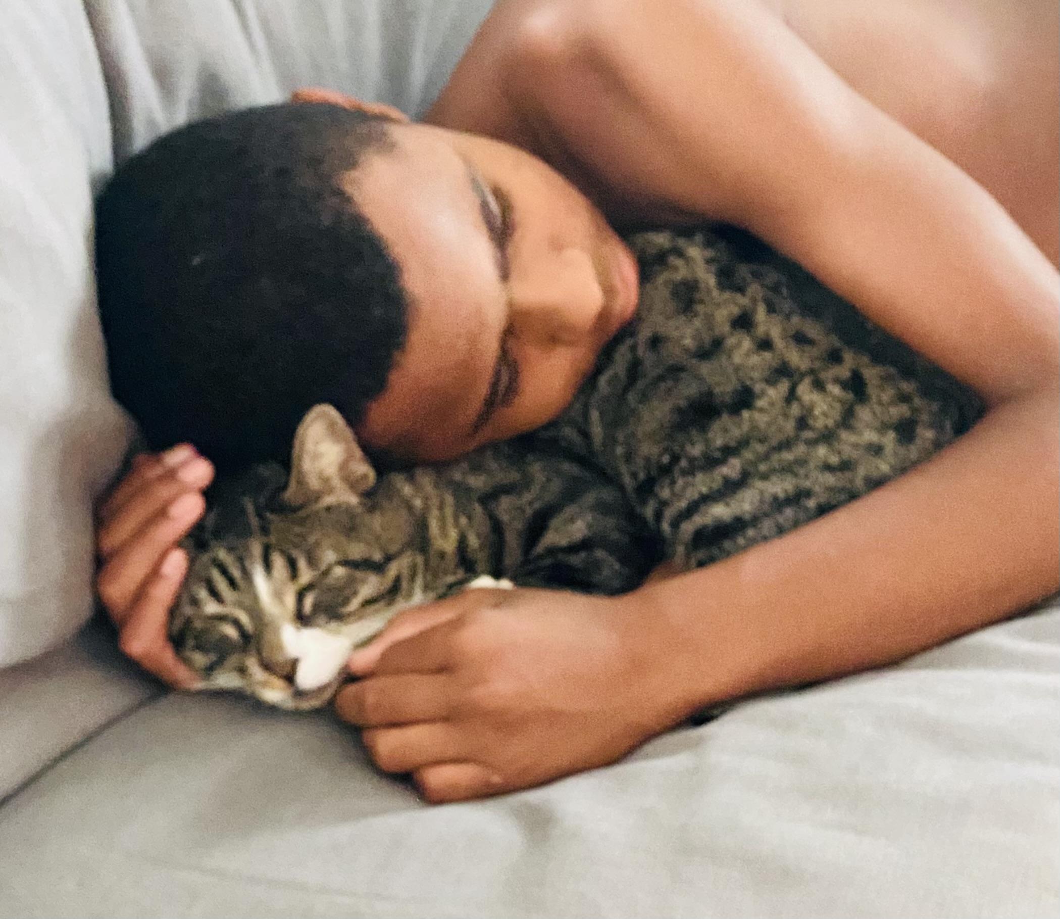 Big Boy Duck, a Adoptable Domestic Short Hair in Hoboken, NJ image 4/6