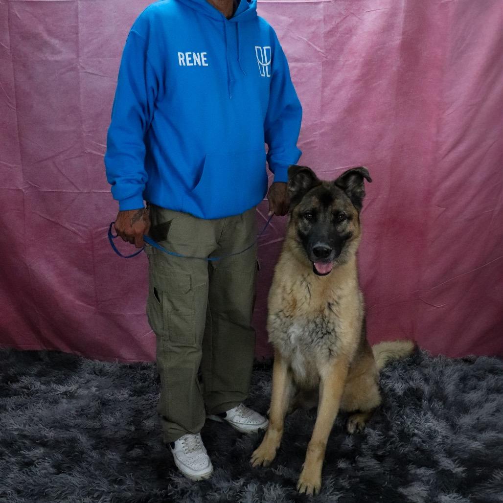 Enlarge Puppy, a Adoptable mixed breed in San Jacinto, CA image 4/6