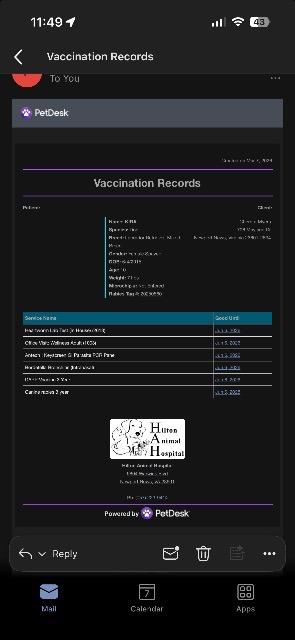 Enlarge Kira, a Adoptable mixed breed in Hampton, VA image 3/3