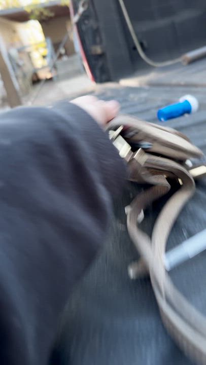 Enlarge Little Man, a ADOPTABLE mixed breed in Boston, MA video 4/6