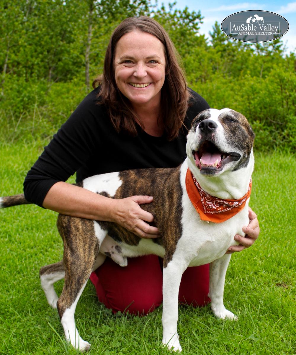Enlarge Moose, an adoptable Mixed Breed in Grayling, MI image 2/6