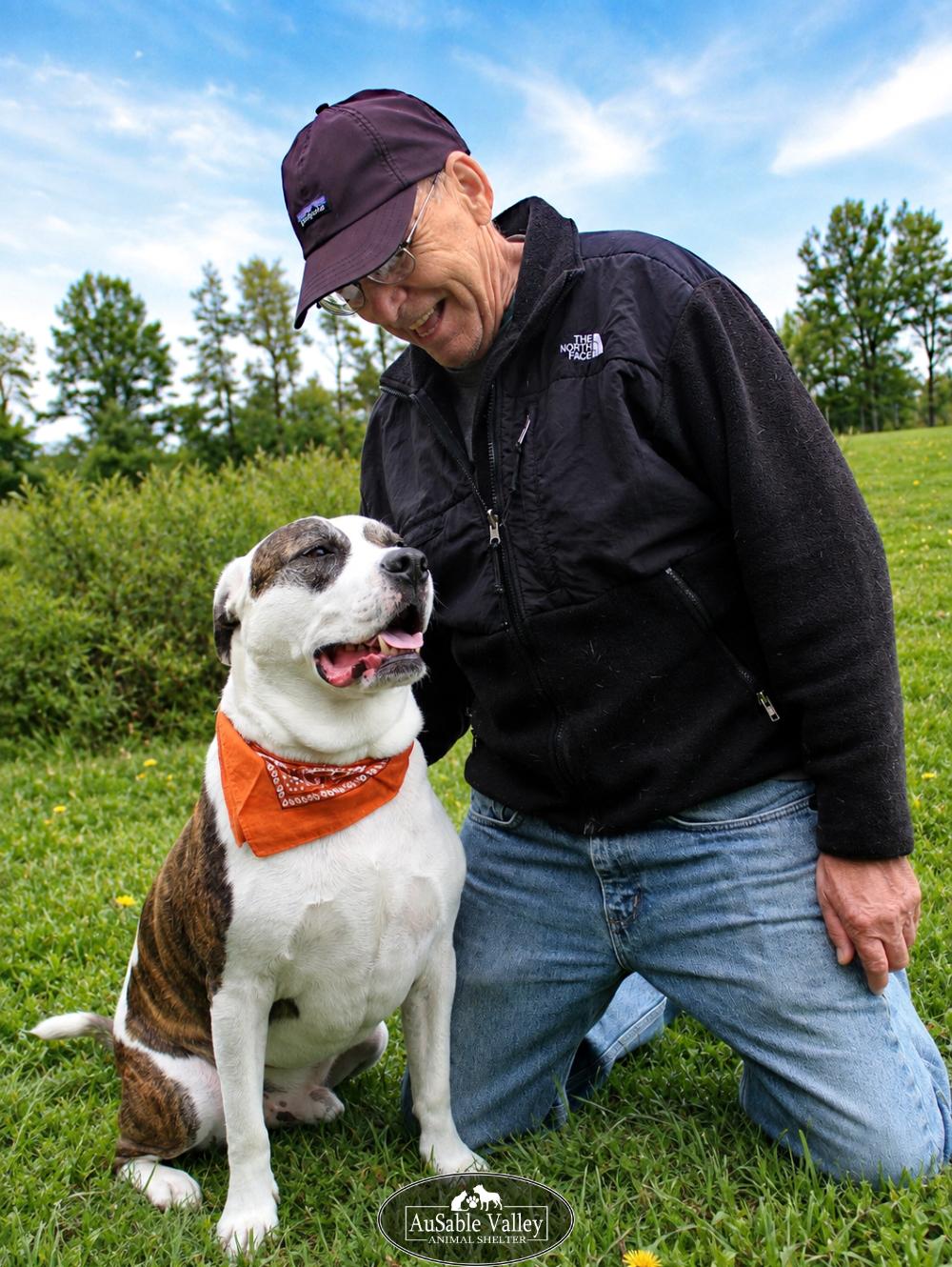 Enlarge Moose, an adoptable Mixed Breed in Grayling, MI image 4/6