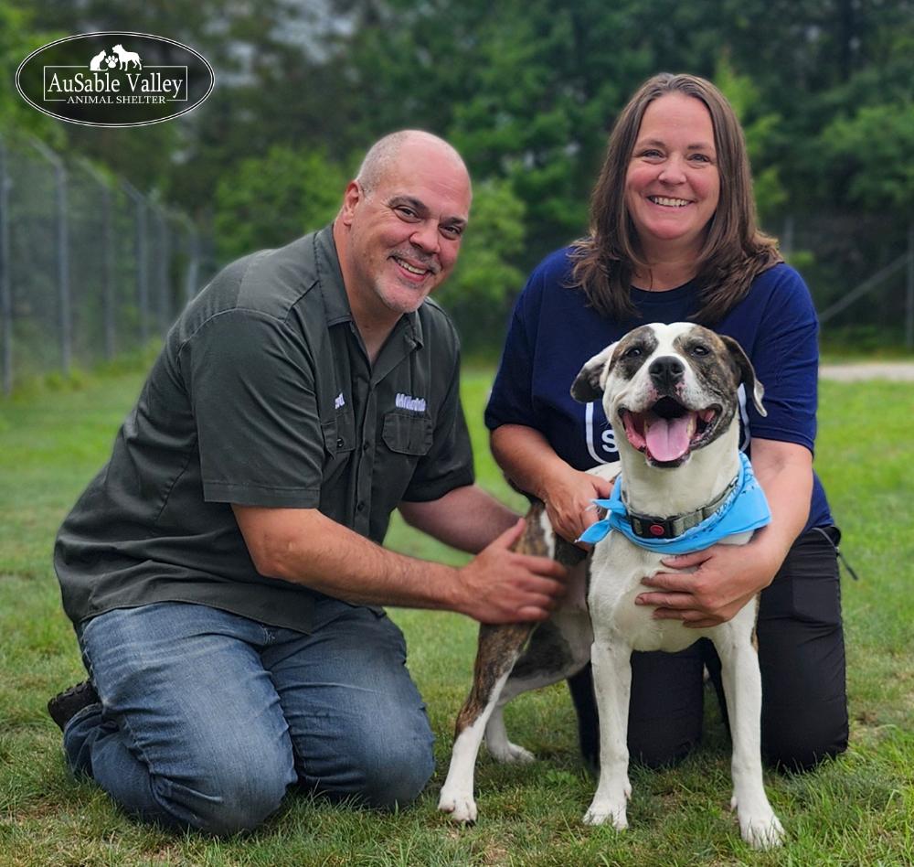 Moose, a Adoptable Mixed Breed in Grayling, MI image 2/6