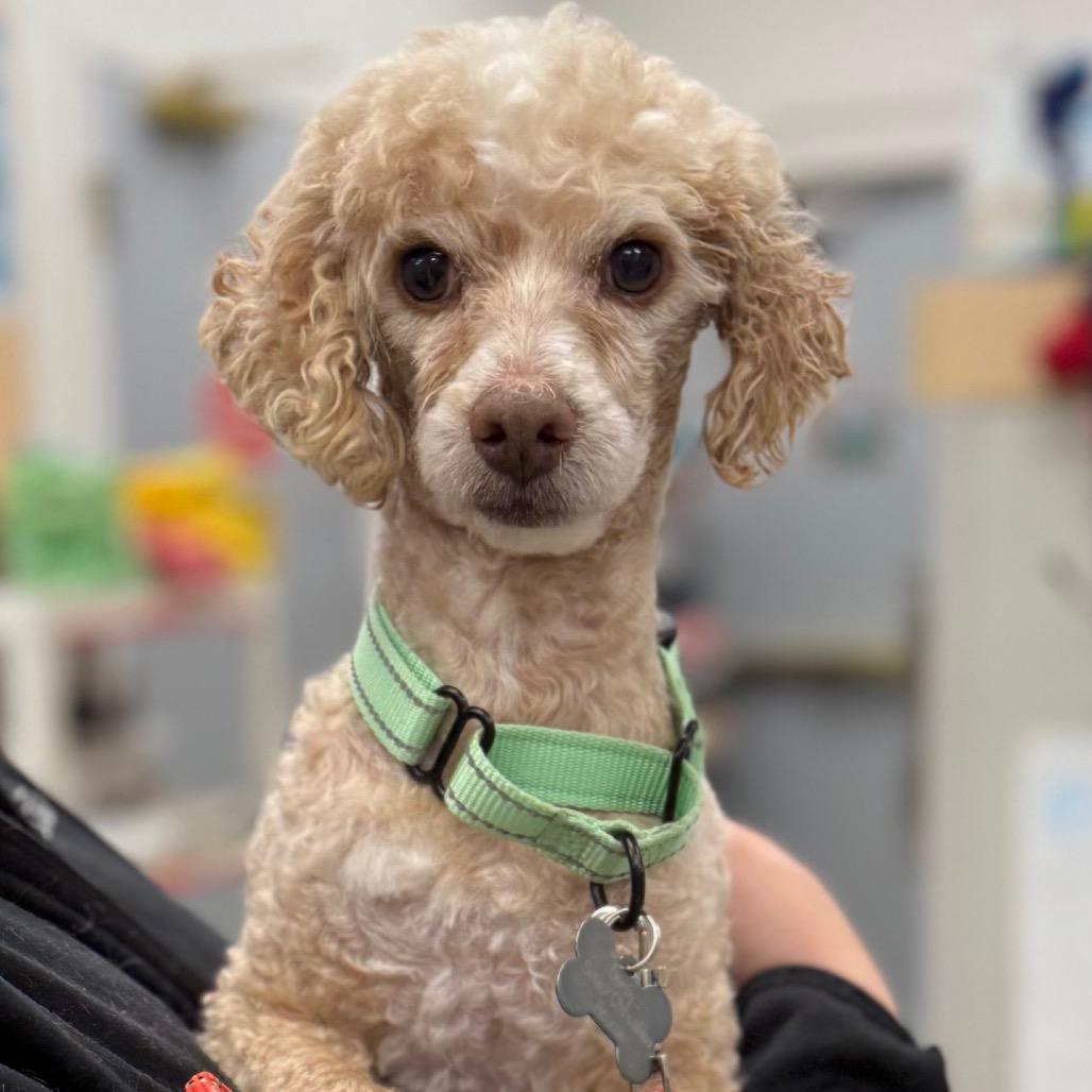 Rafferty — thumbnail 2