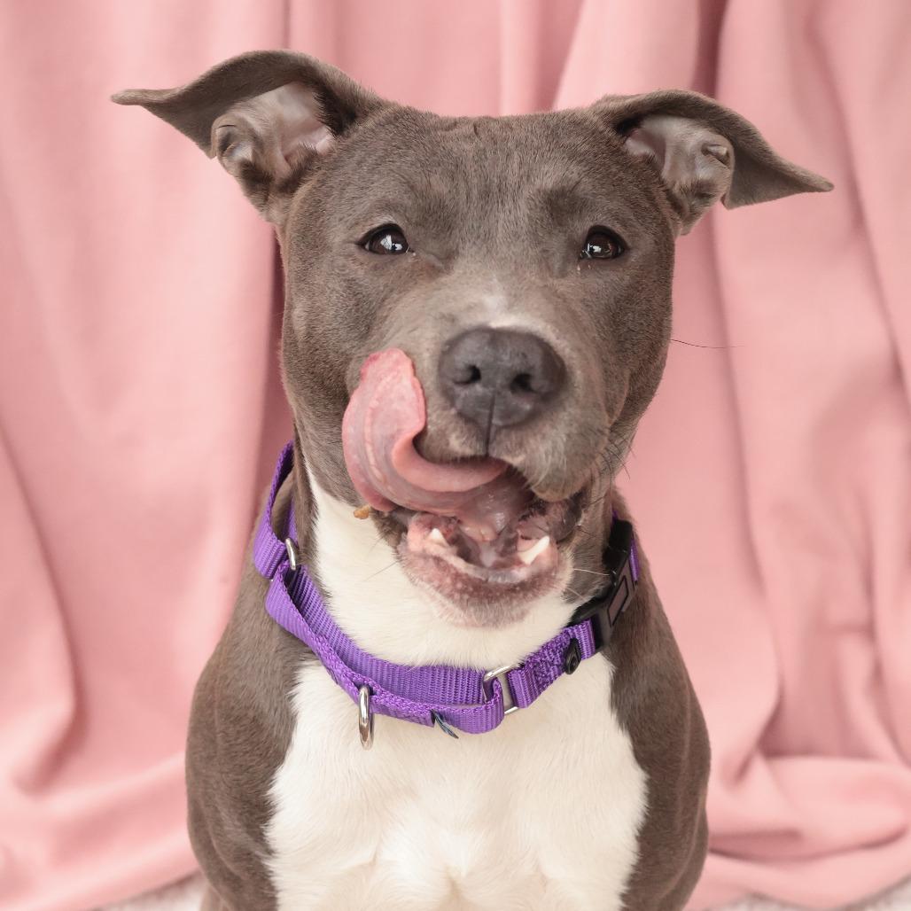 Frankie — thumbnail 3