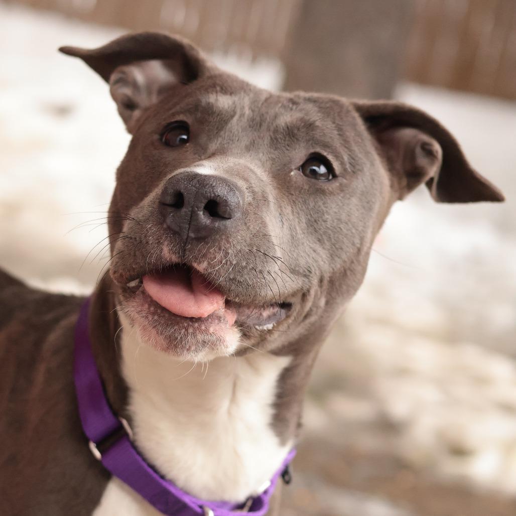 Frankie — thumbnail 5