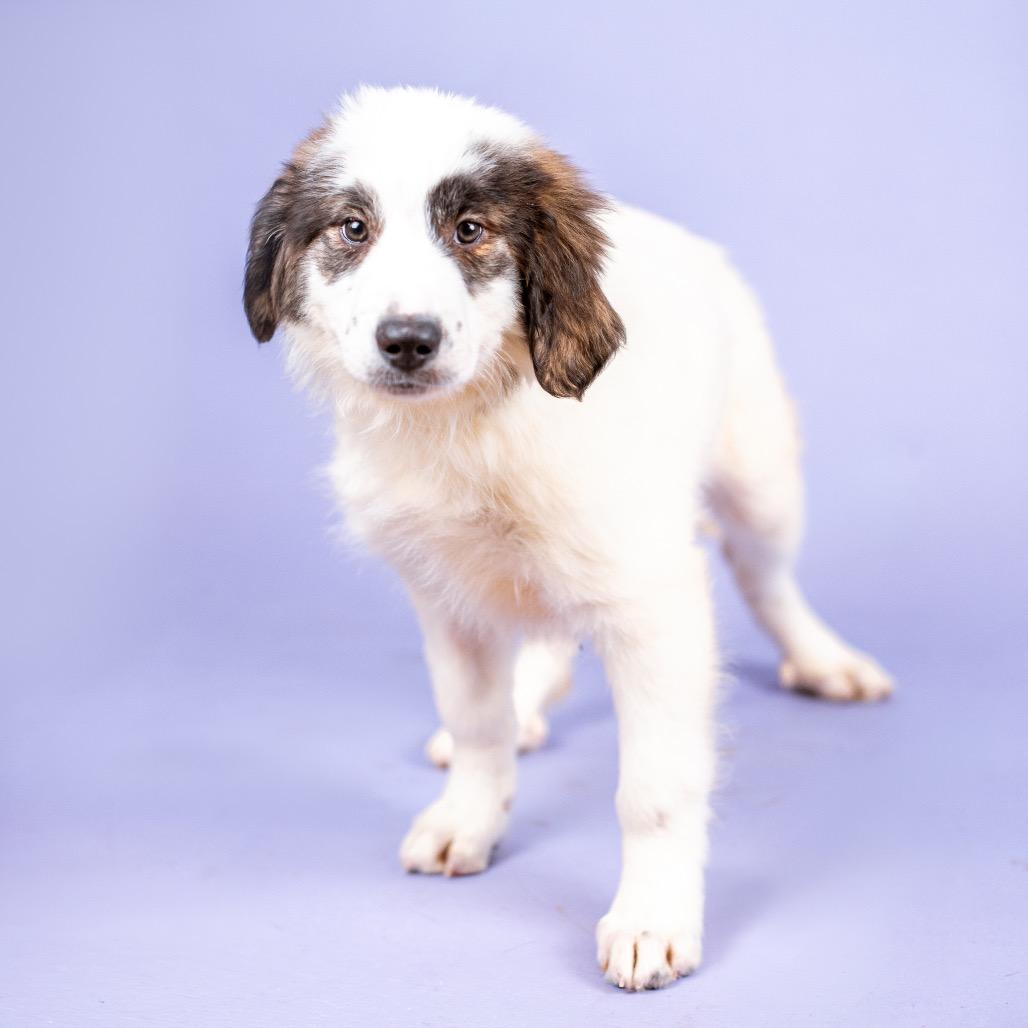 Chad Danforth thumbnail 2