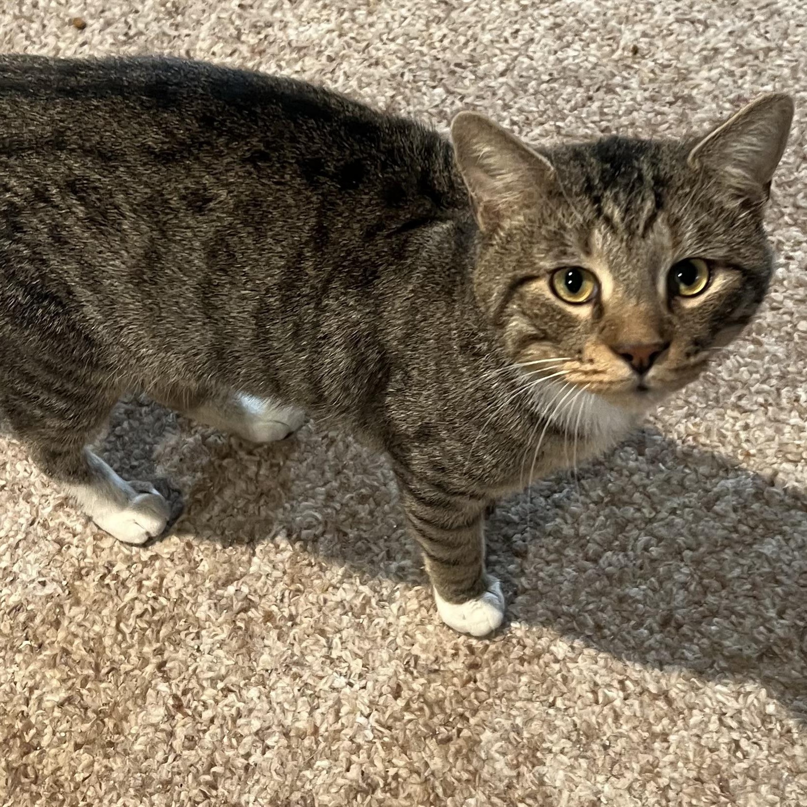 Boomer, Young Male unknown