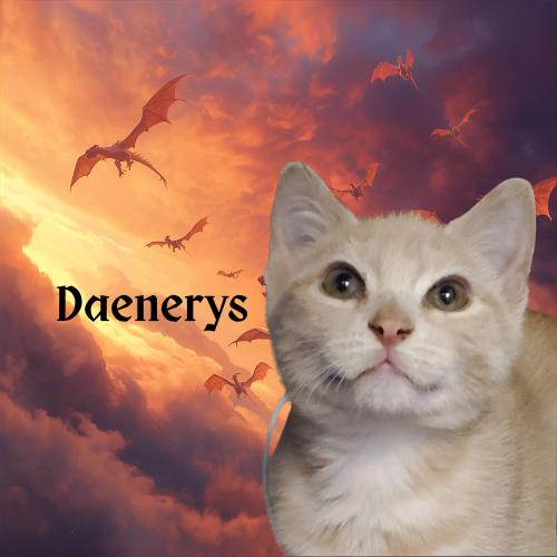 Daenerys-Queen of Dragons in your Future?