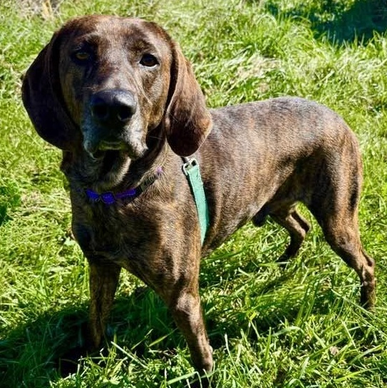 Murphy photo