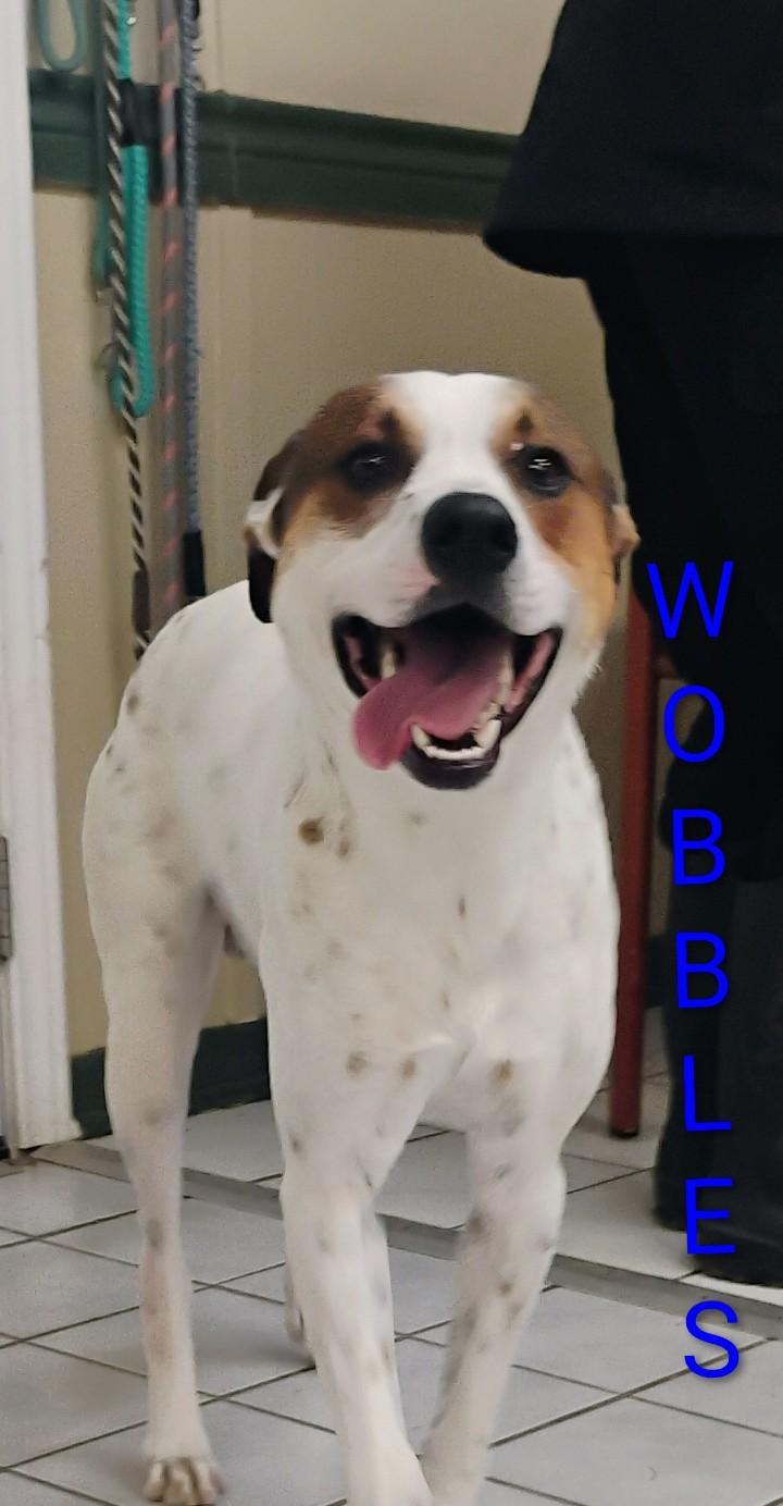 Wobbles thumbnail 4