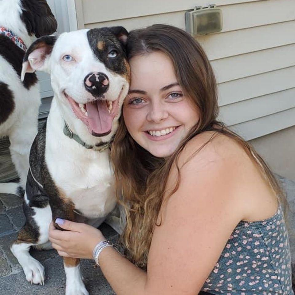 Enlarge Dolly (formerly Callie), a Adoptable Catahoula Leopard Dog in Oakhurst, NJ image 2/3
