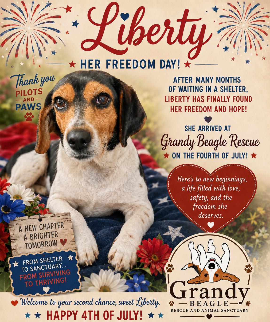 Enlarge Liberty Belle, a ADOPTABLE mixed breed in Grandy, NC image 2/4