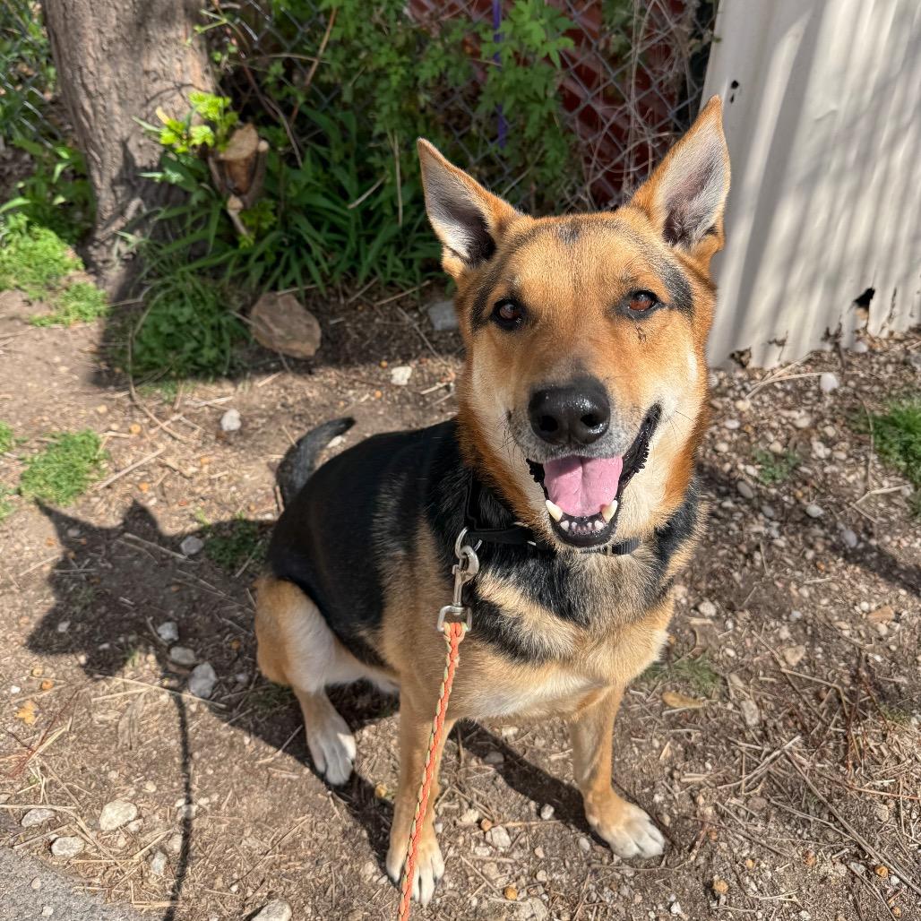 Jackson Pollock — thumbnail 2