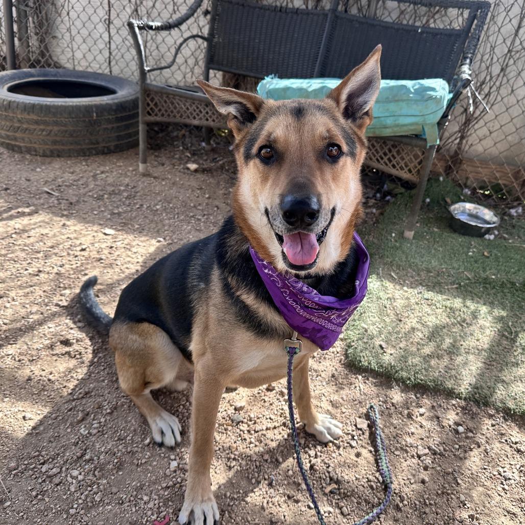 Jackson Pollock — thumbnail 3