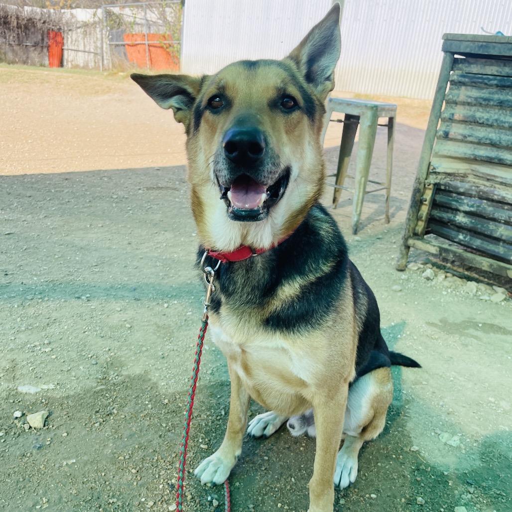 Jackson Pollock — thumbnail 6