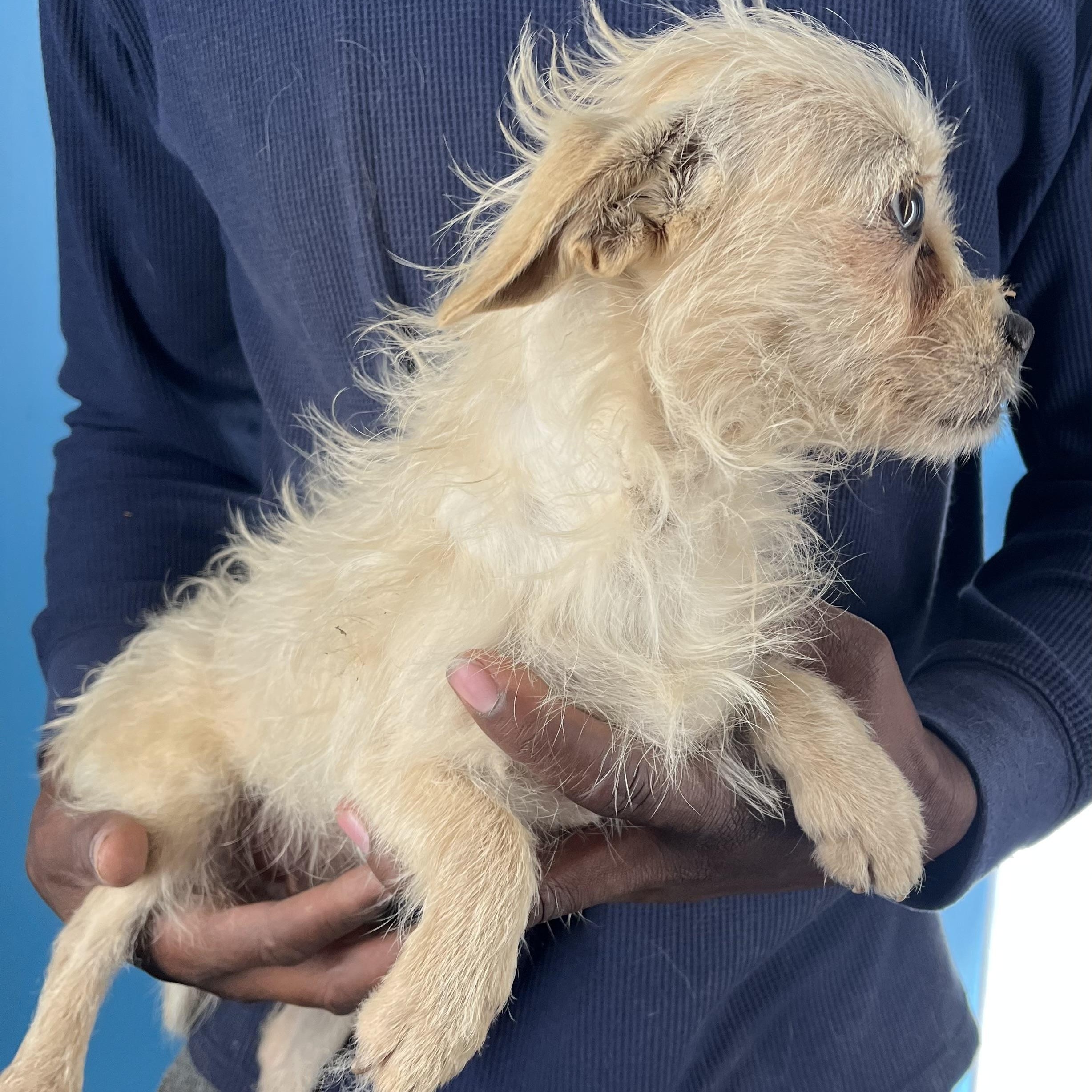 Ava  Local February thumbnail 2