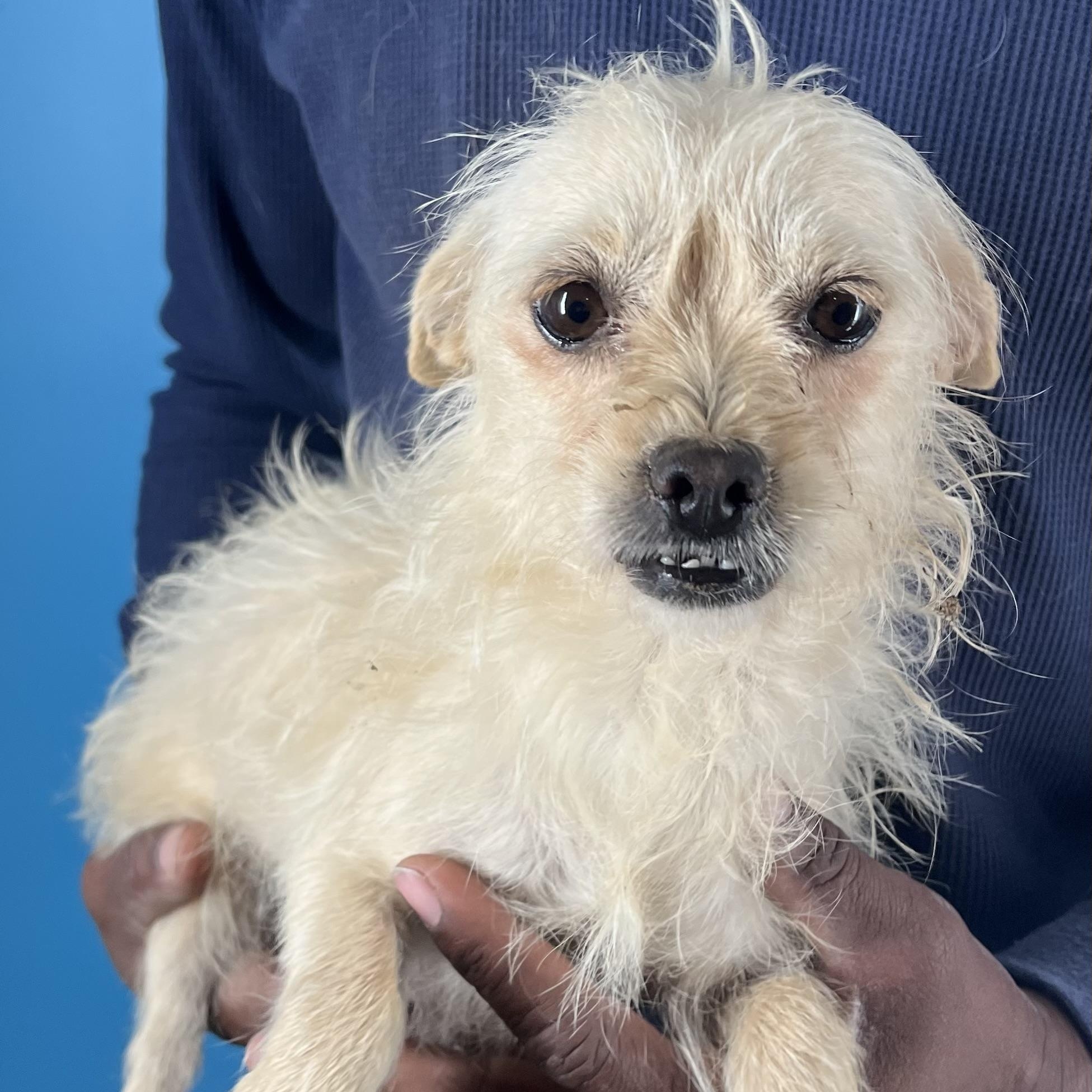 Ava  Local February thumbnail 3