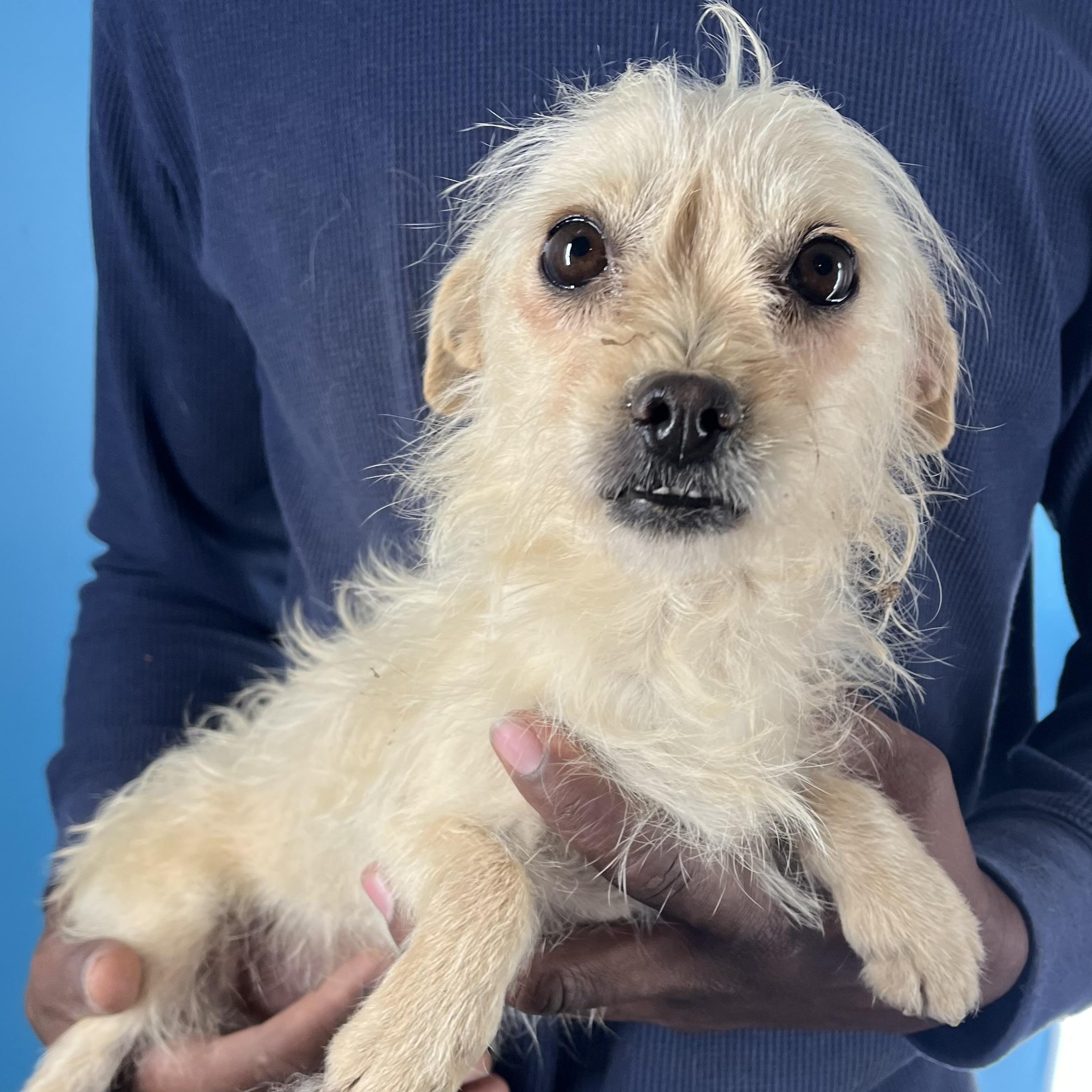 Ava  Local February thumbnail 4