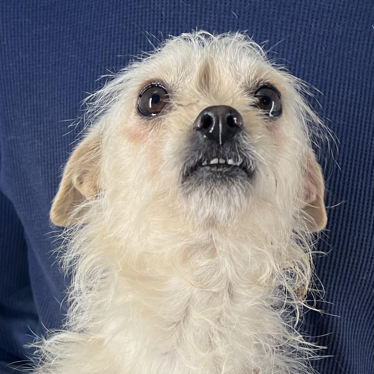 Ava  Local February thumbnail 5