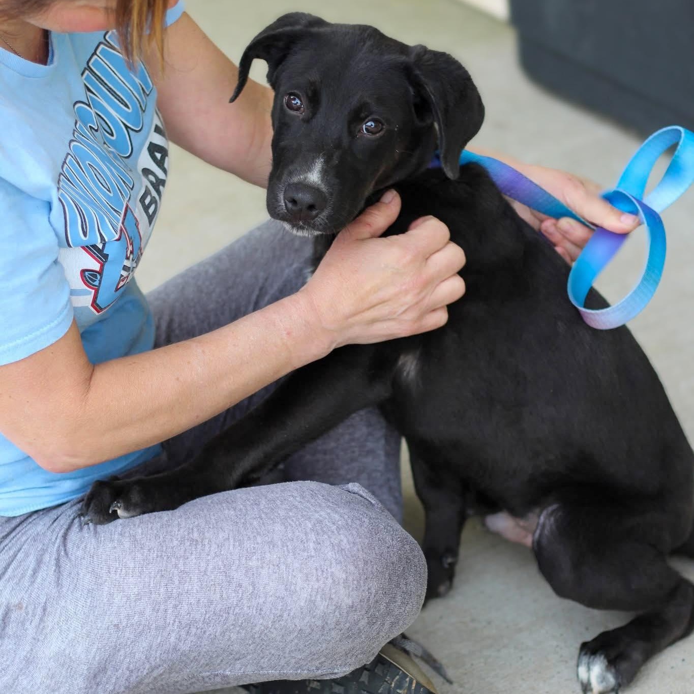 Trent - Waived Adoption