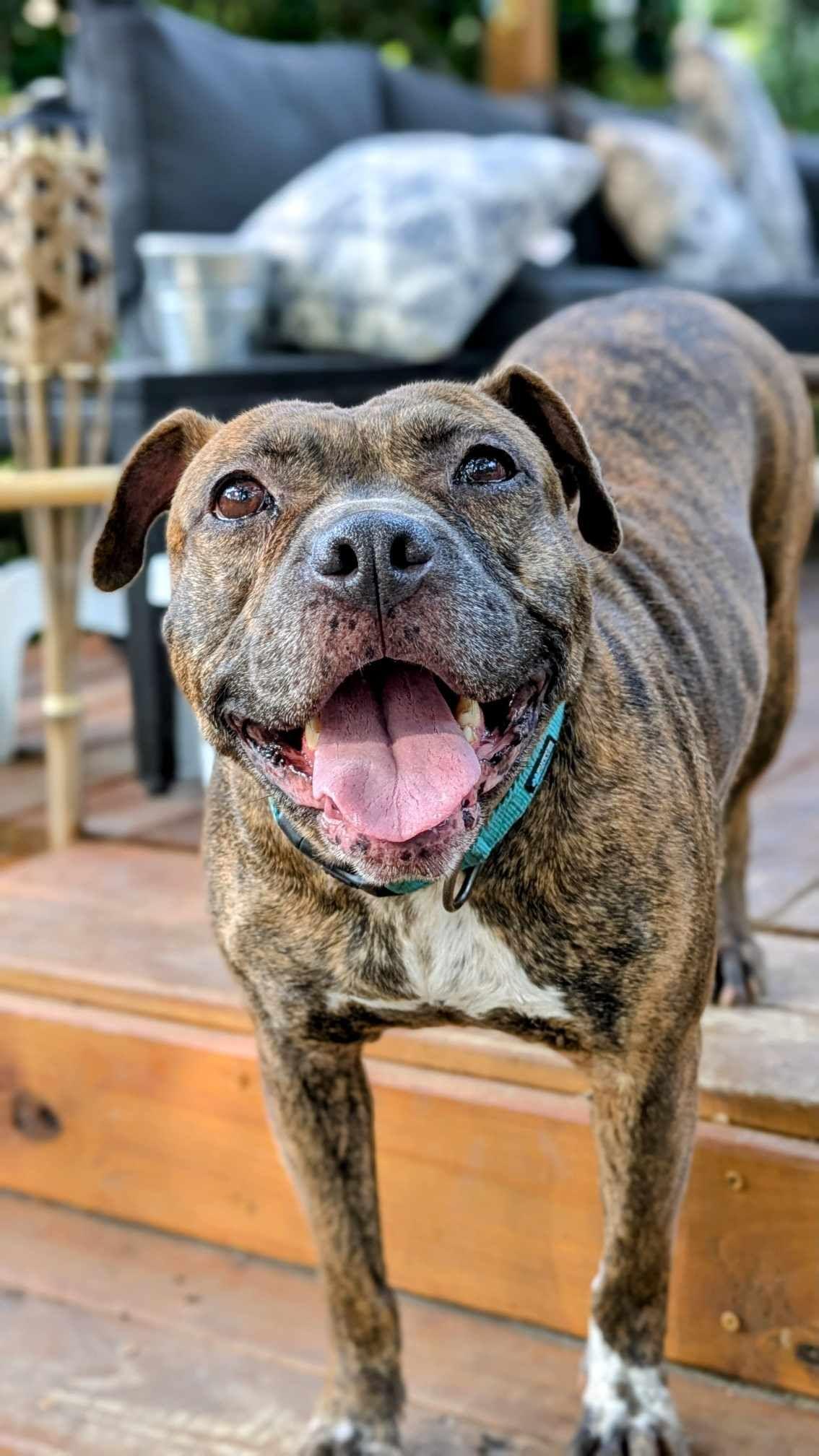 Peta — thumbnail 3