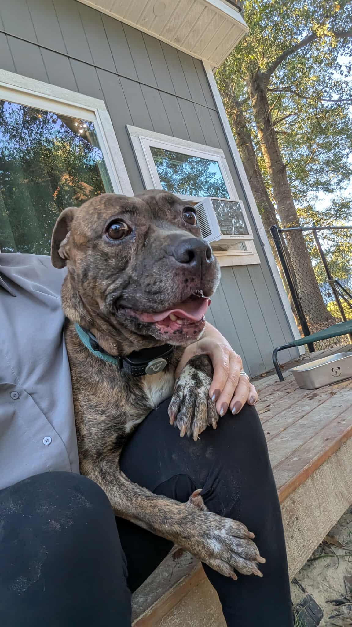 Peta — thumbnail 5